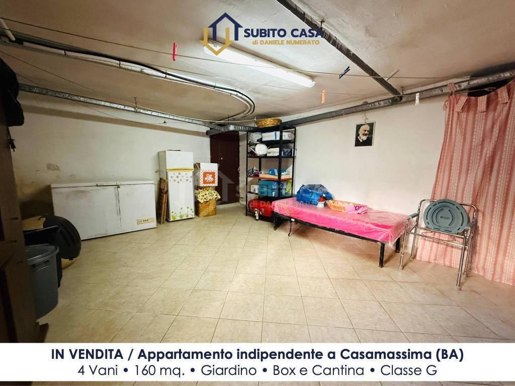 immagine annuncio 14 di 15