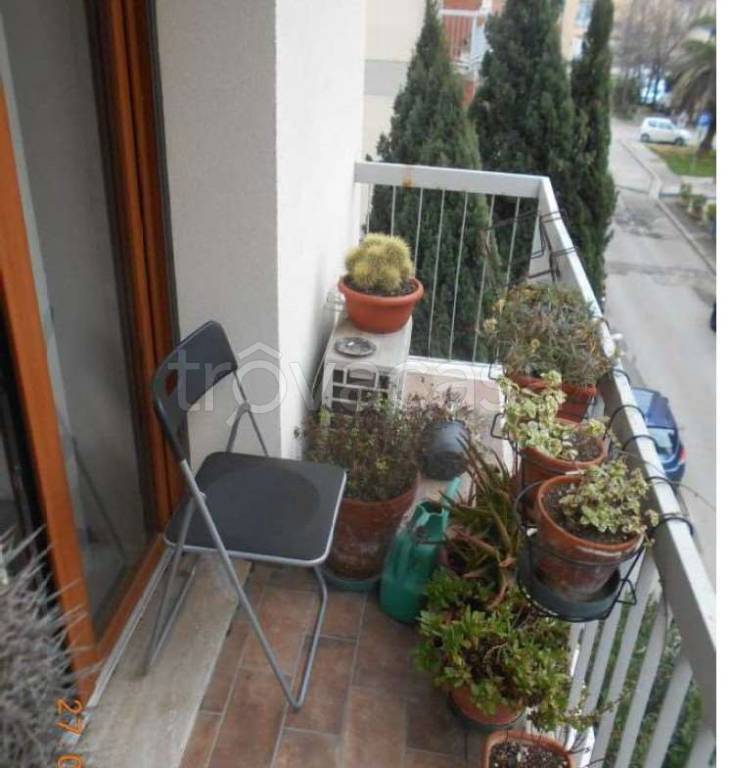 immagine annuncio 12 di 14