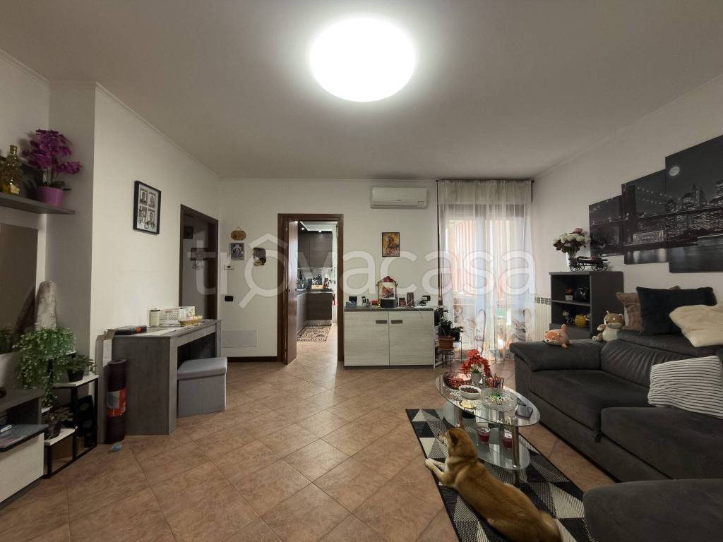 immagine annuncio 6 di 15