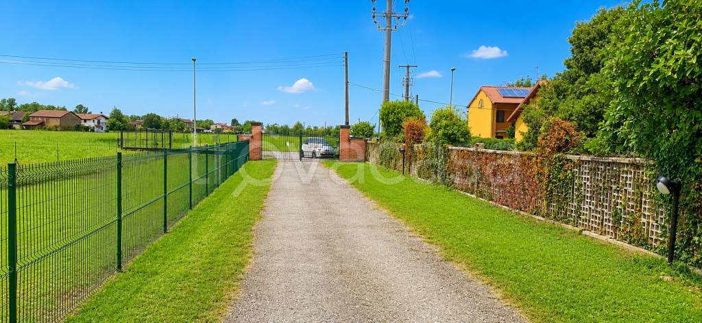 immagine annuncio 2 di 11