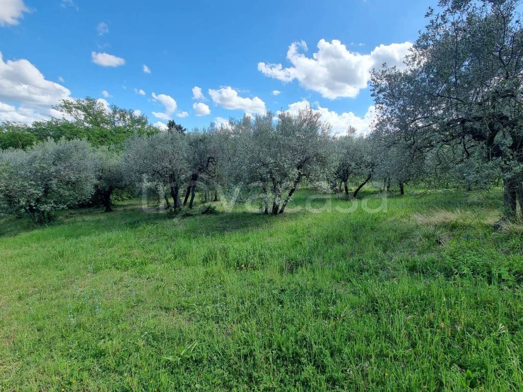 immagine annuncio 4 di 6