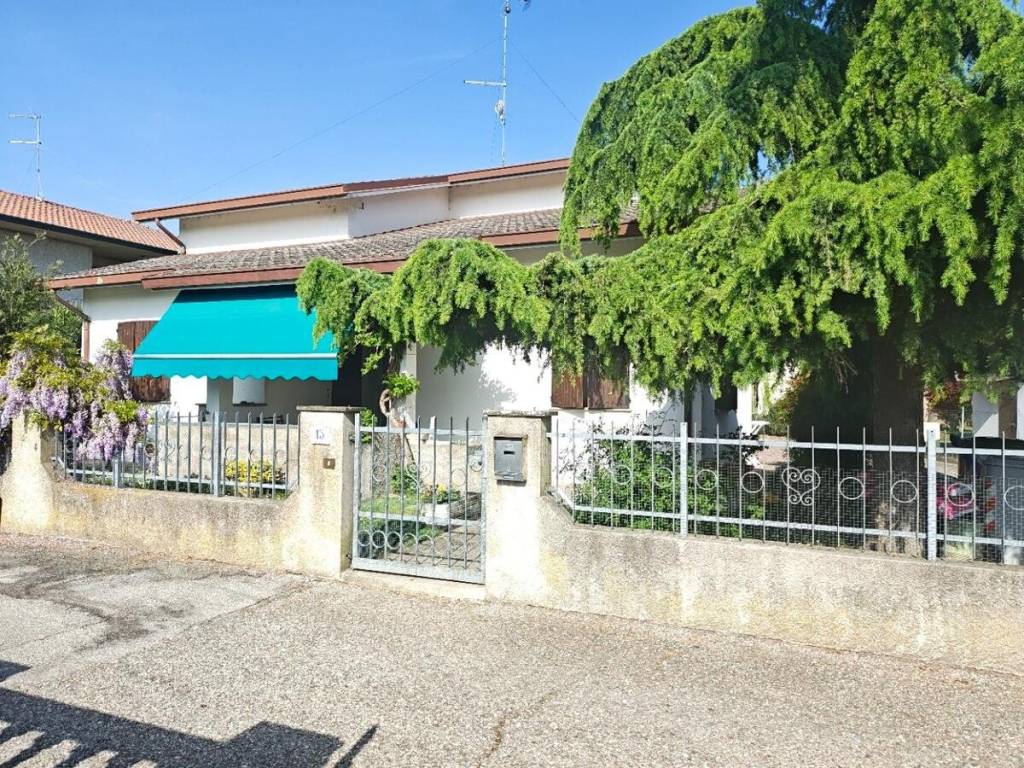 immagine annuncio 2 di 15