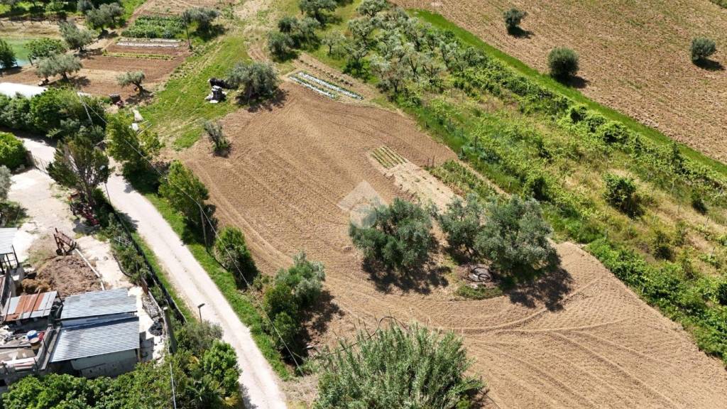 immagine annuncio 8 di 14