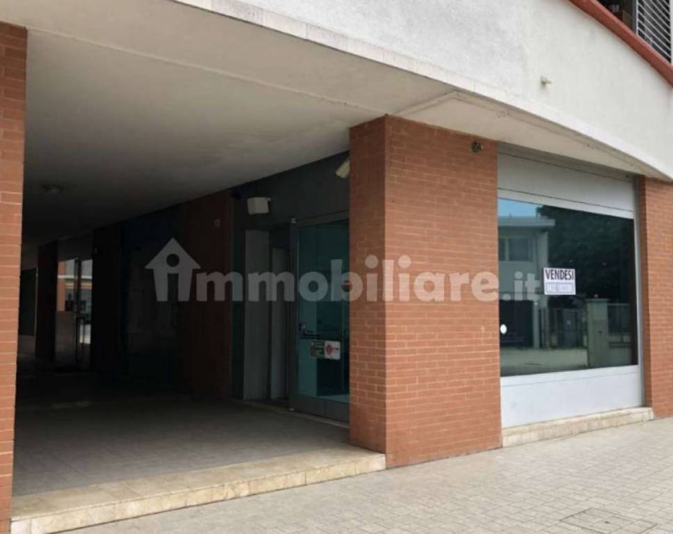 immagine annuncio 4 di 6