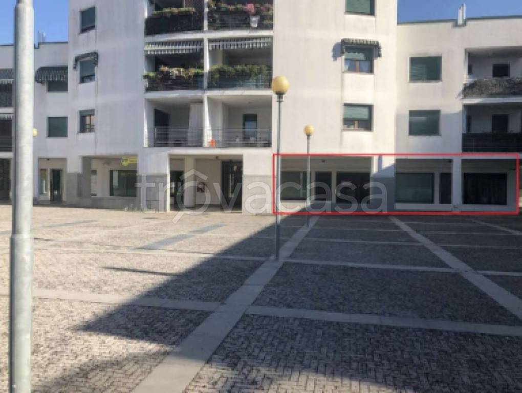 immagine annuncio 2 di 7