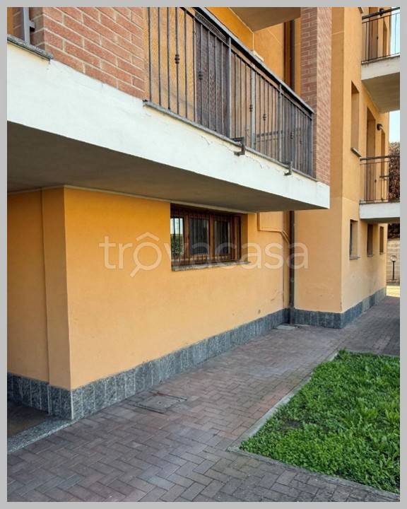 immagine annuncio 12 di 15