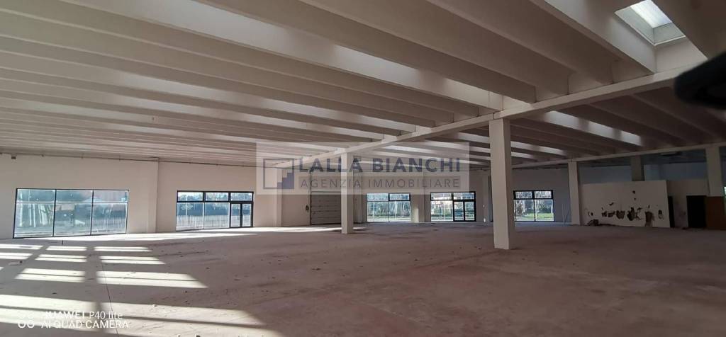 immagine annuncio 9 di 14