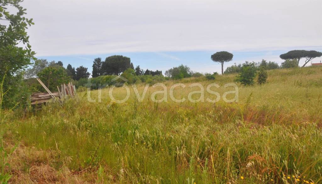 immagine annuncio 8 di 11