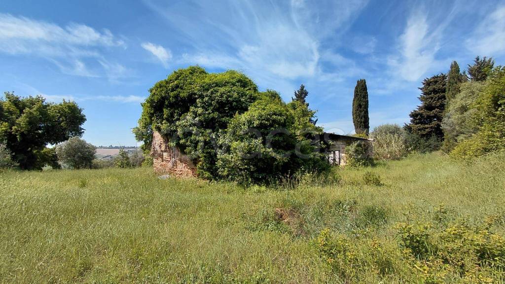 immagine annuncio 4 di 7