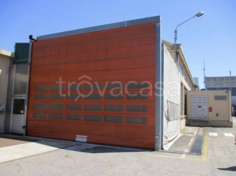 immagine annuncio 11 di 15