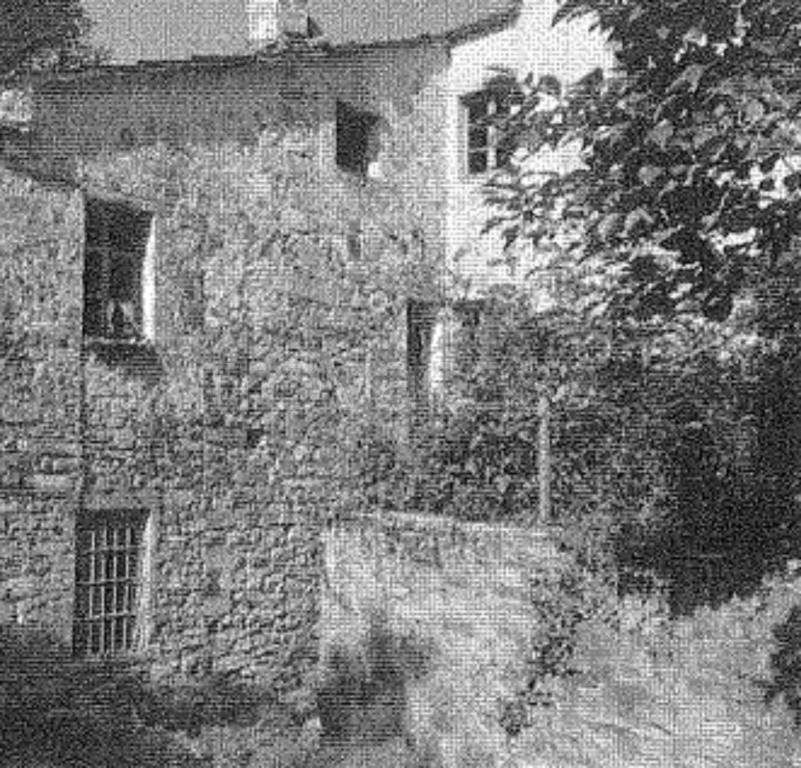 immagine annuncio 6 di 11