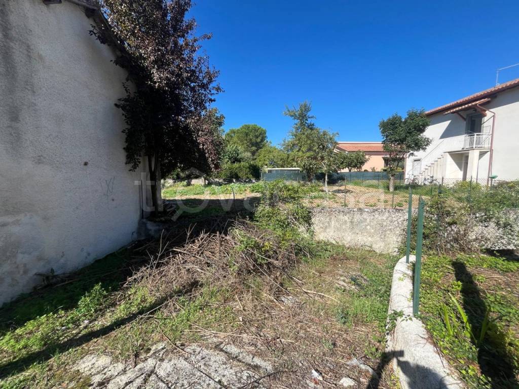 immagine annuncio 5 di 6