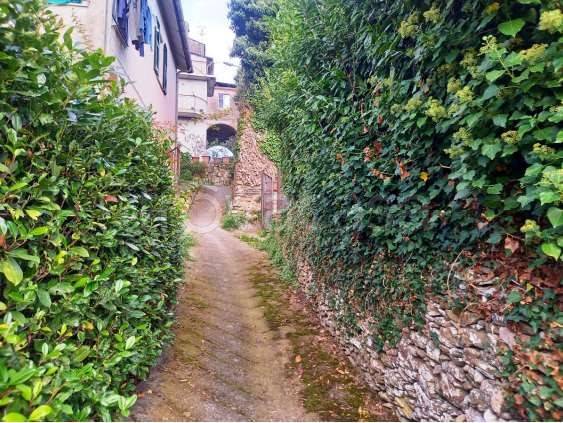 immagine annuncio 5 di 14