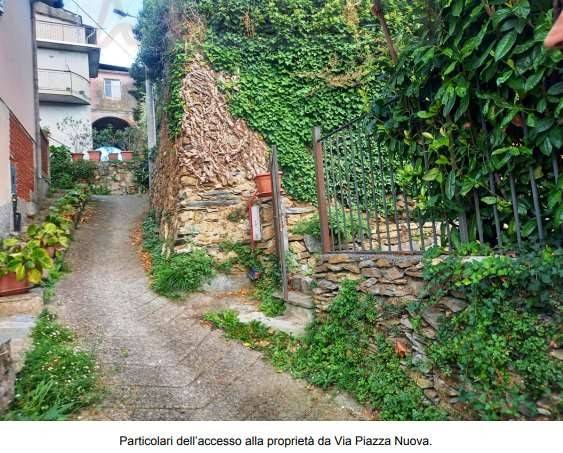 immagine annuncio 6 di 14
