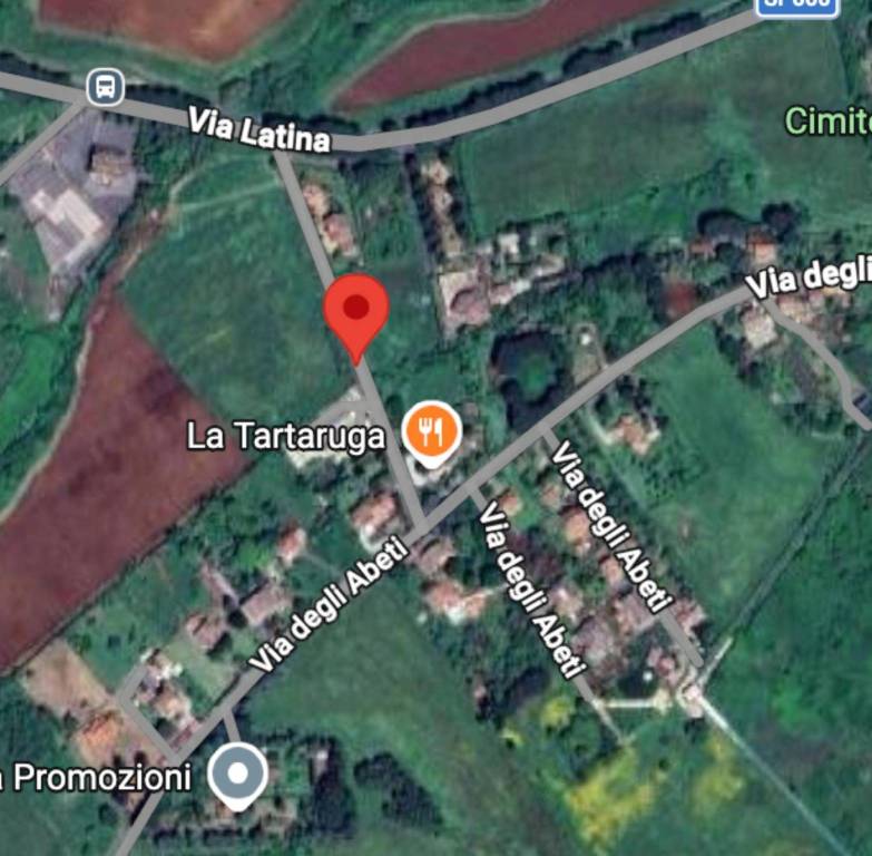 immagine annuncio 9 di 10