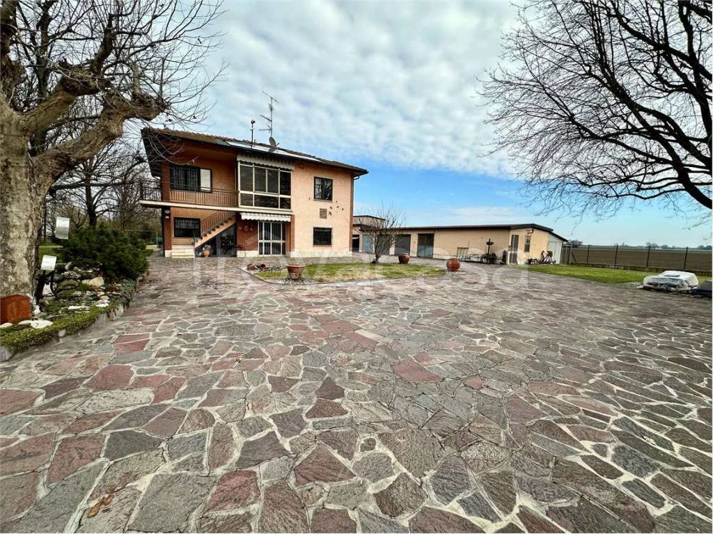 immagine annuncio 9 di 15