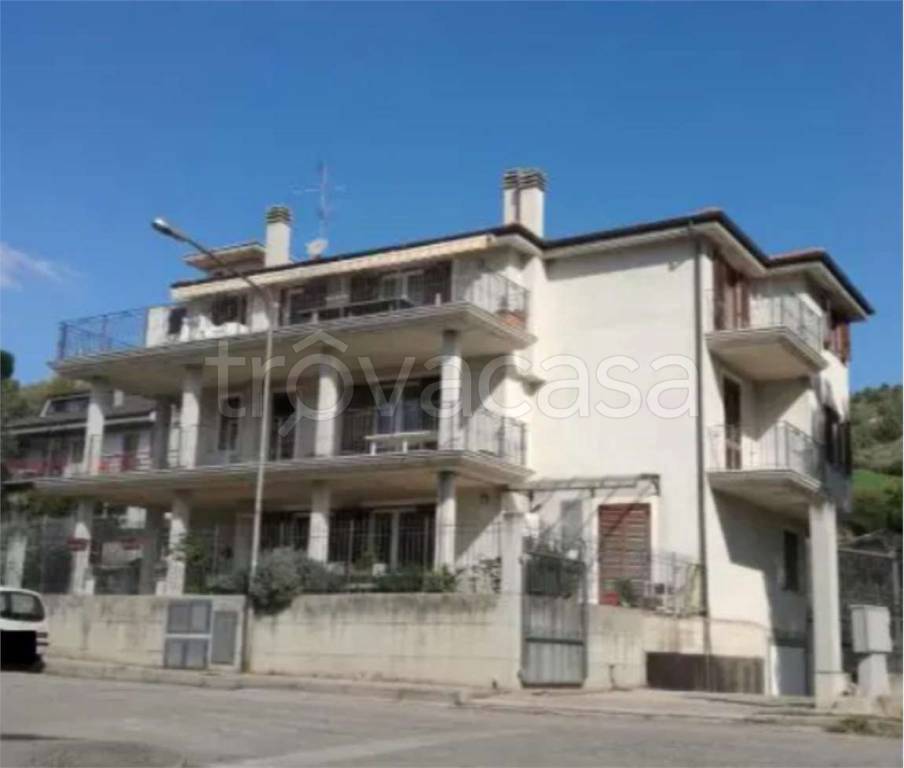immagine annuncio 2 di 12
