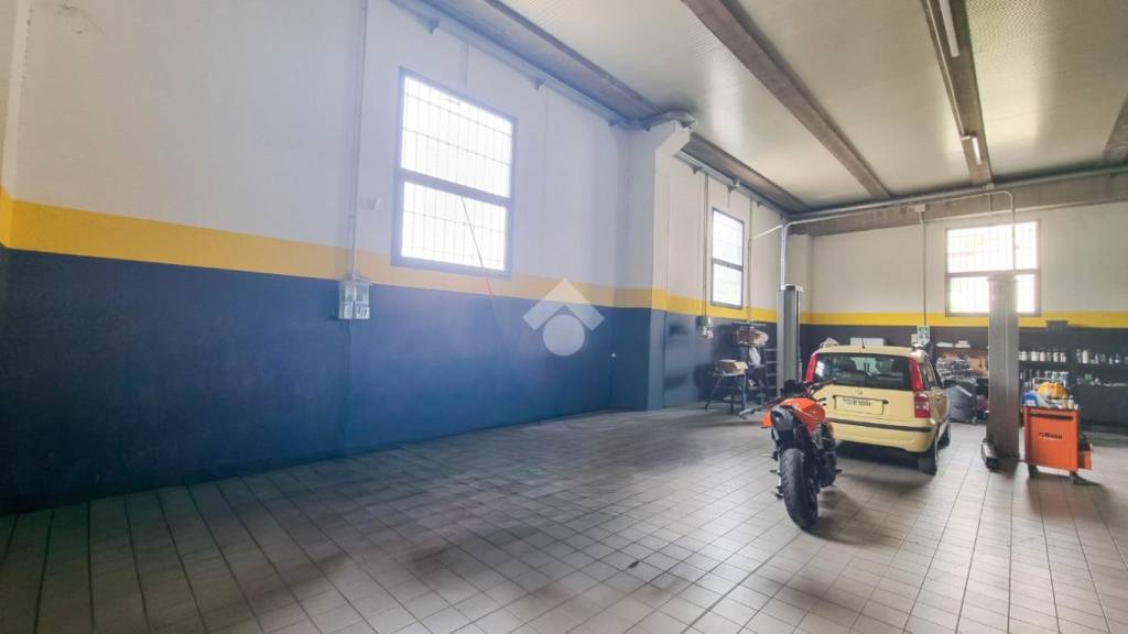 immagine annuncio 1 di 14