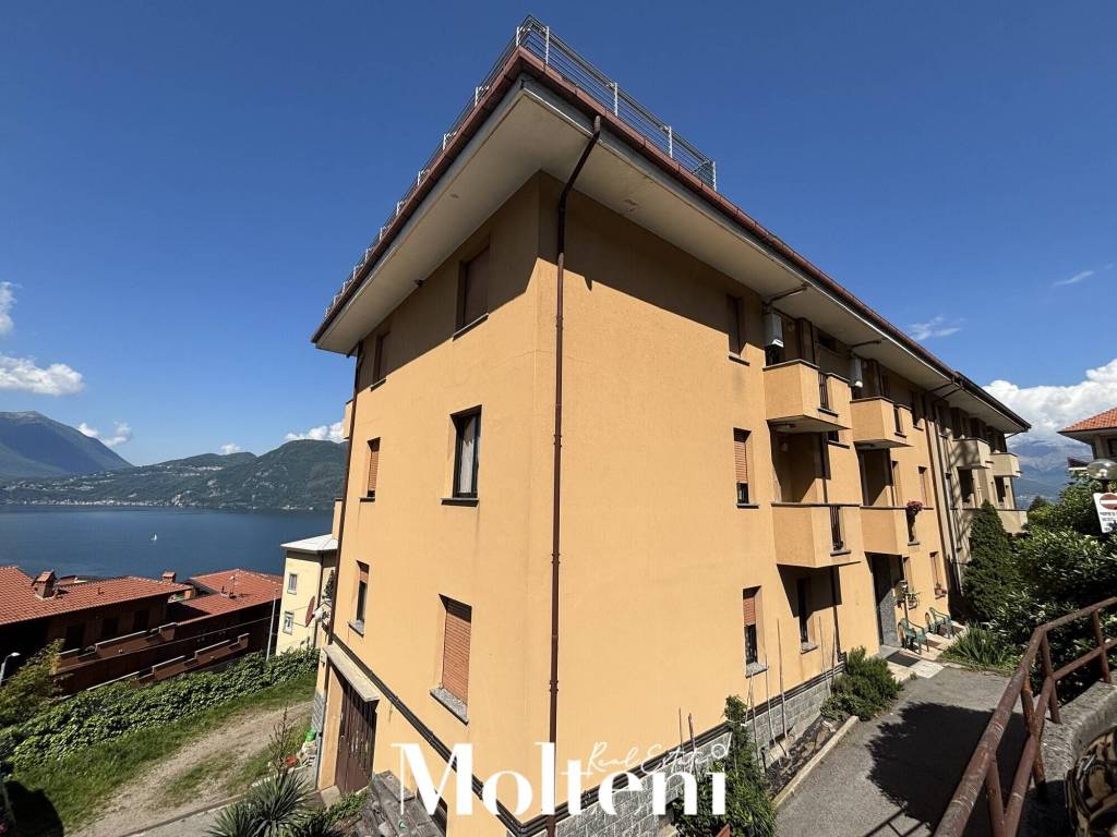 immagine annuncio 12 di 14