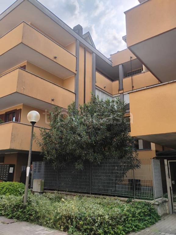 immagine annuncio 2 di 15