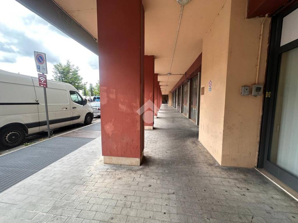immagine annuncio 4 di 12