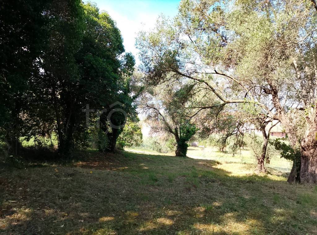 immagine annuncio 6 di 9