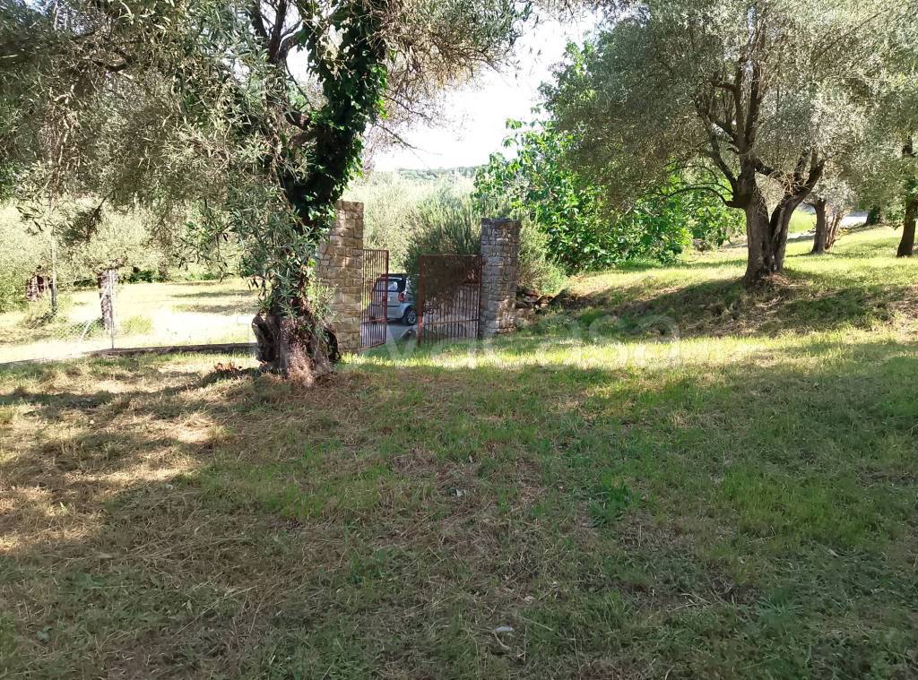 immagine annuncio 7 di 9