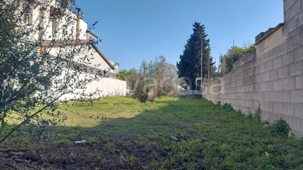 immagine annuncio 4 di 9