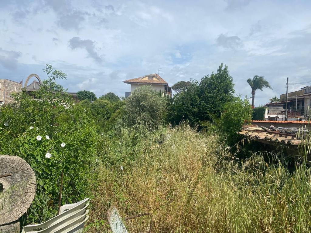 immagine annuncio 8 di 12