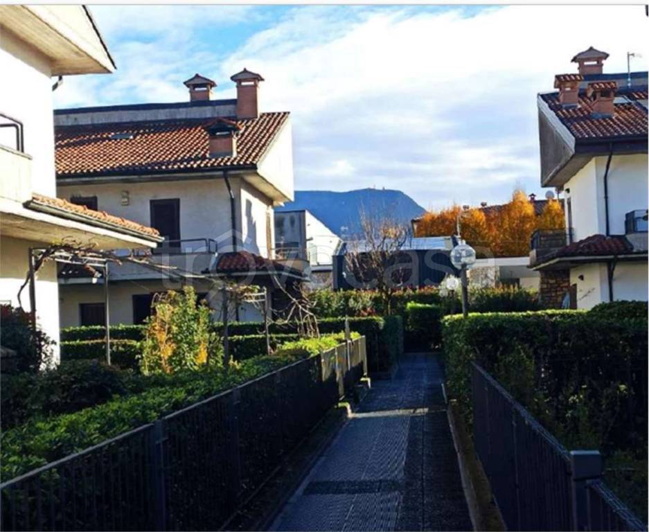 immagine annuncio 2 di 14