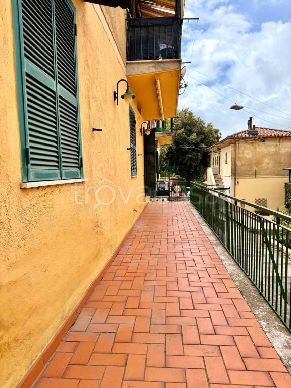 immagine annuncio 6 di 14