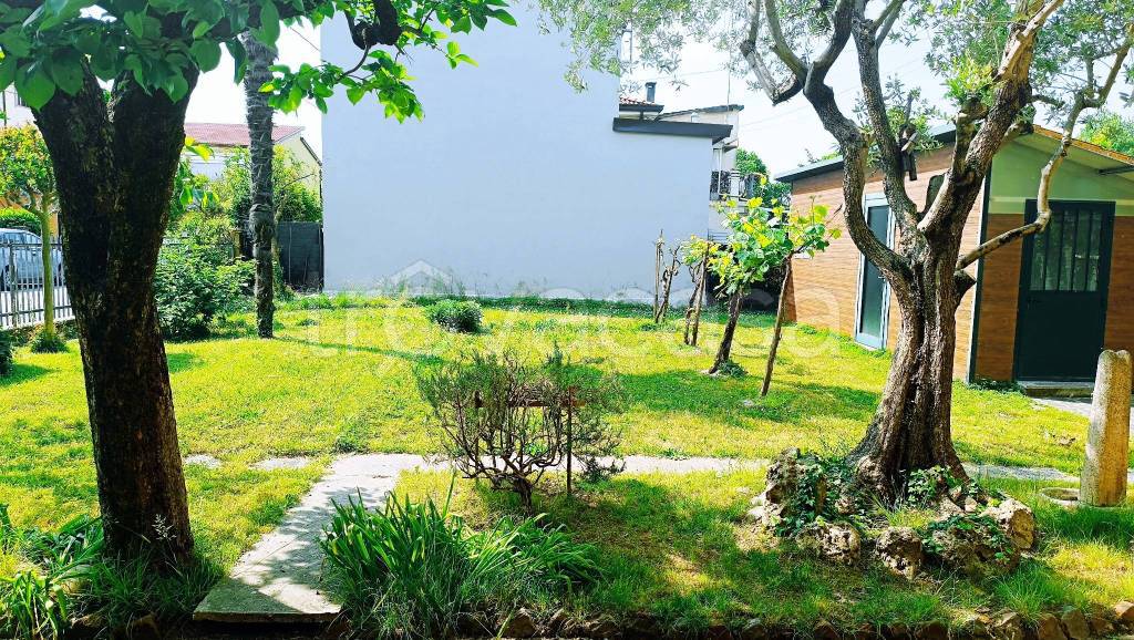 immagine annuncio 1 di 14
