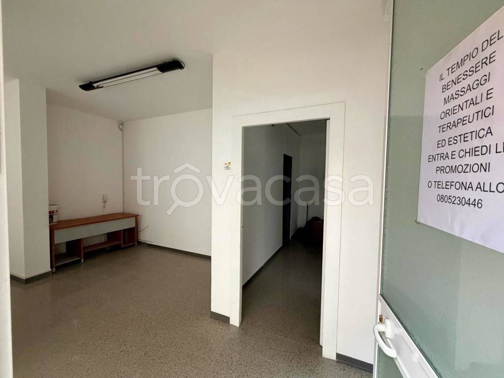 immagine annuncio 2 di 7