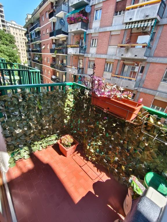 immagine annuncio 4 di 9
