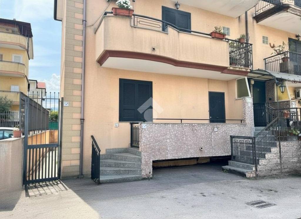immagine annuncio 10 di 12