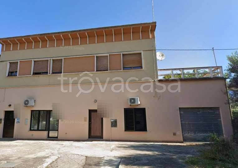 immagine annuncio 5 di 14