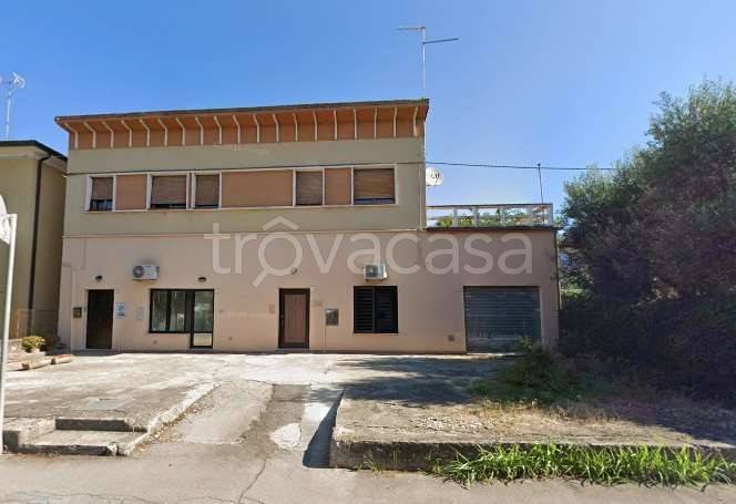 immagine annuncio 10 di 14