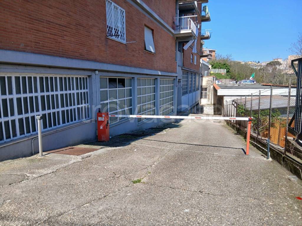 immagine annuncio 1 di 2