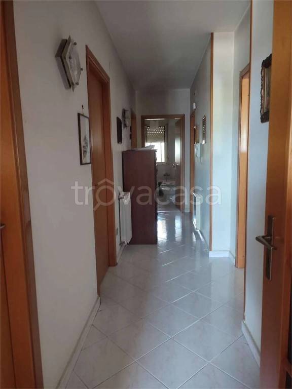 immagine annuncio 4 di 6