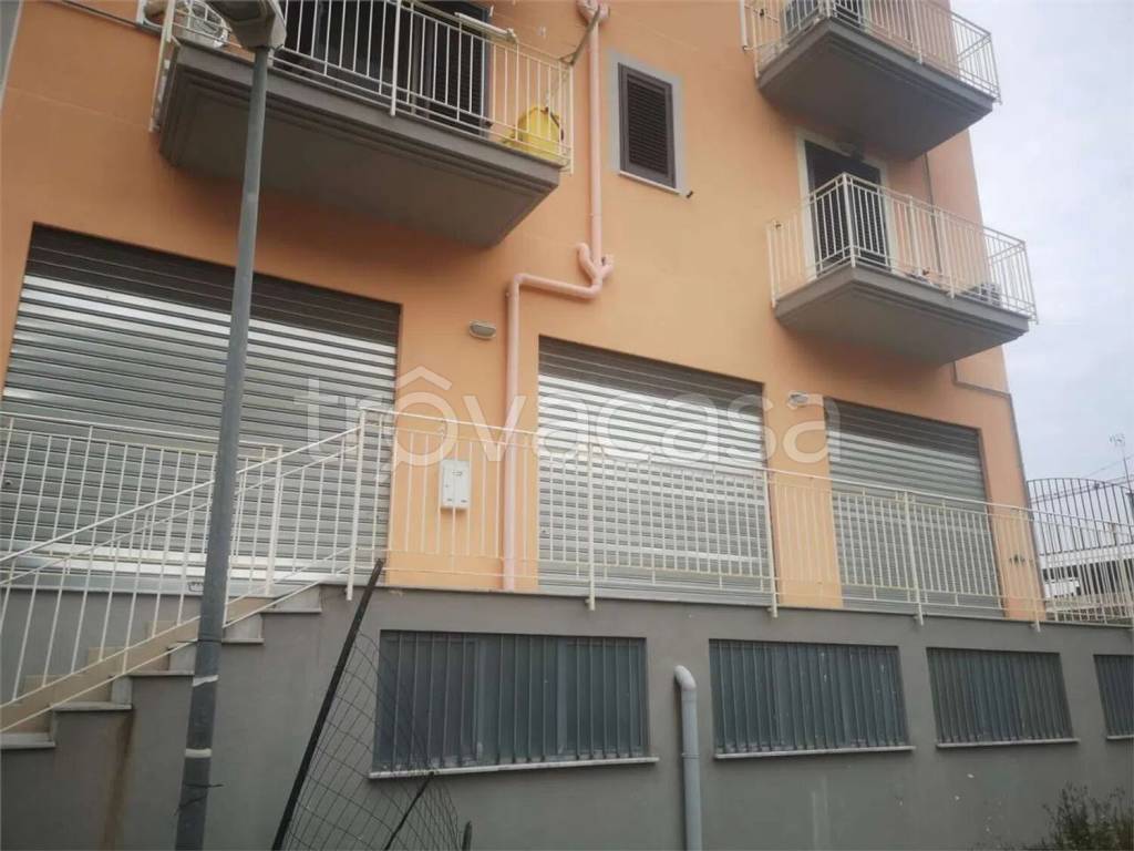immagine annuncio 4 di 12