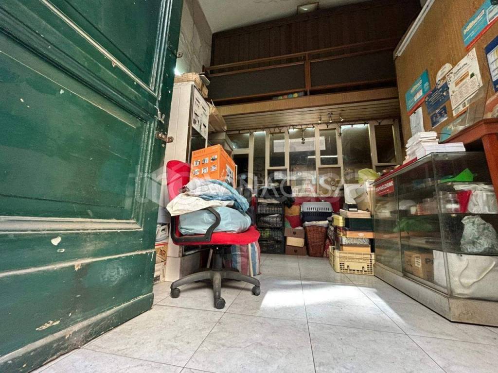 immagine annuncio 3 di 15