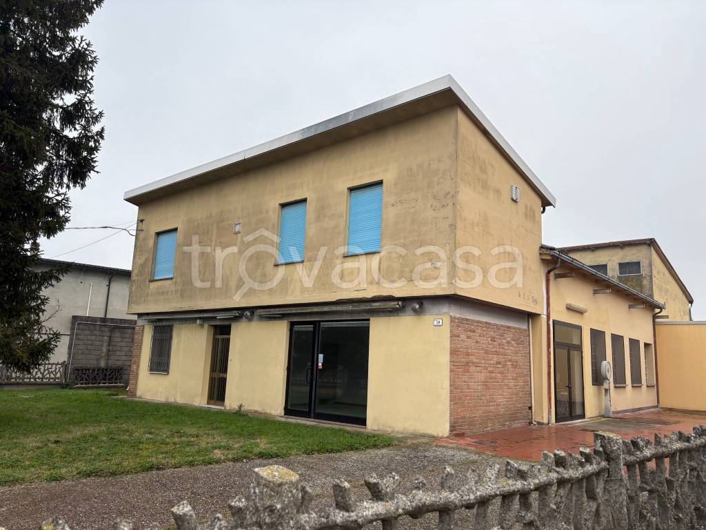immagine annuncio 13 di 14