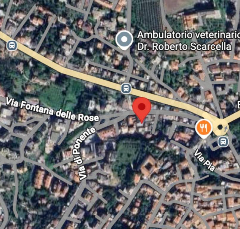 immagine annuncio 7 di 11