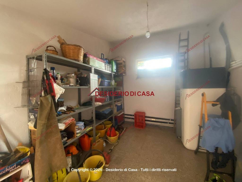 immagine annuncio 11 di 13