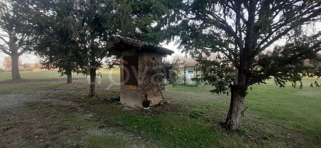immagine annuncio 7 di 9