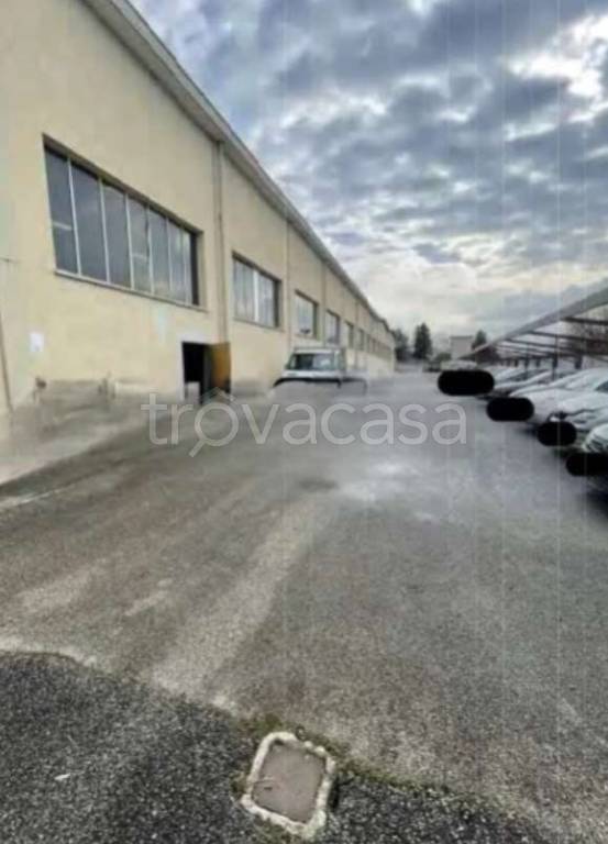 immagine annuncio 2 di 14