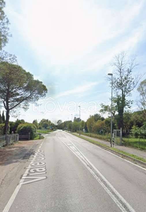 immagine annuncio 4 di 14