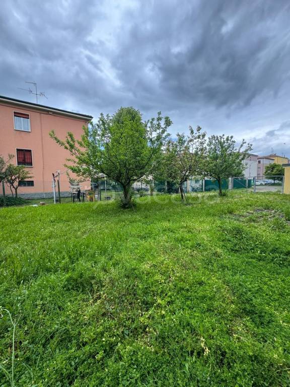 immagine annuncio 1 di 6