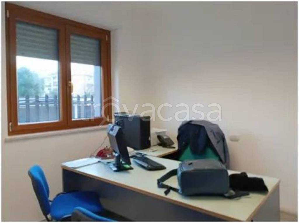 immagine annuncio 10 di 12