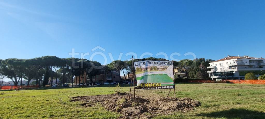 immagine annuncio 4 di 10
